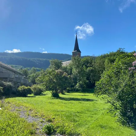 Melhus Historical Aparment *